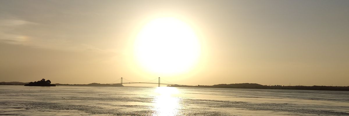 scarlitap's profile banner image