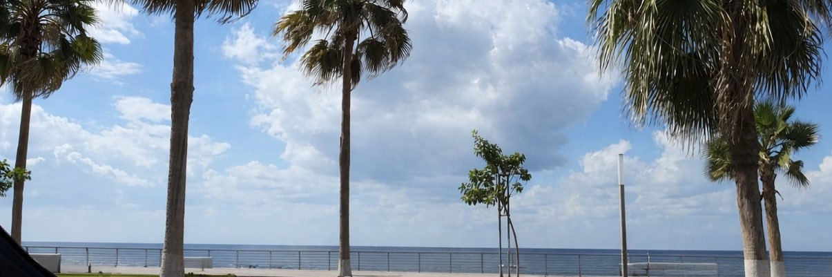 𝑆 banner