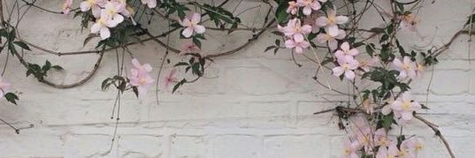 Donaji Karina Cruz banner