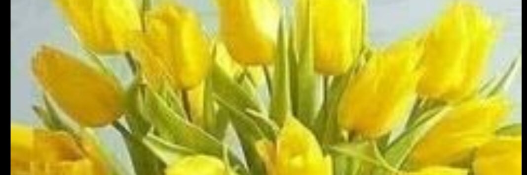 bleycabre's profile banner image