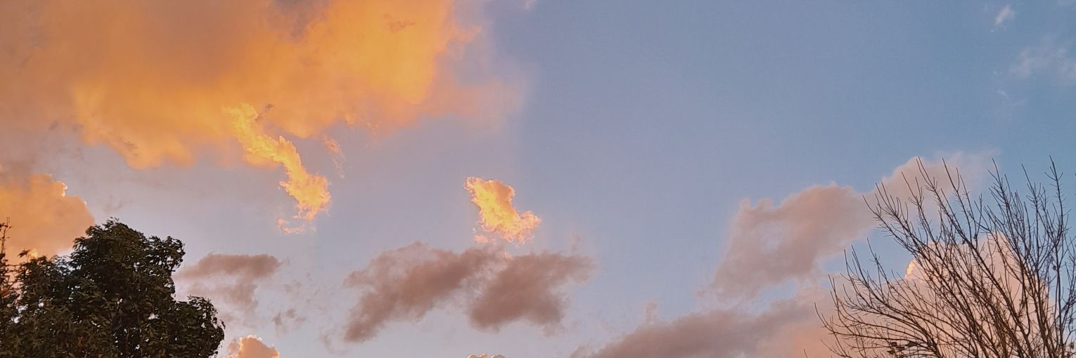 LucilaCharles2's profile banner image
