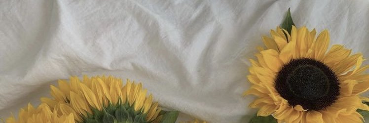 LauraV0_'s profile banner image