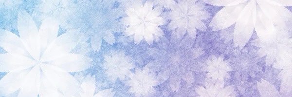 冬青(月) banner