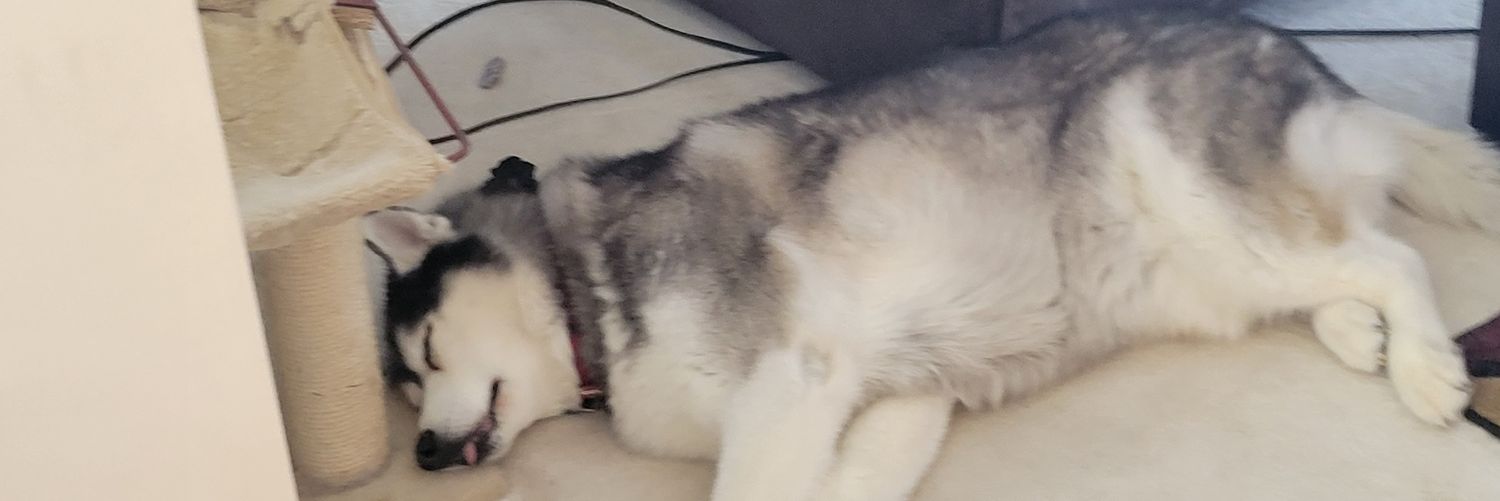 JayRacey's profile banner image