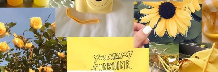 •ตะวัน🌻• banner