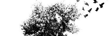 d_e_e_l1's profile banner image