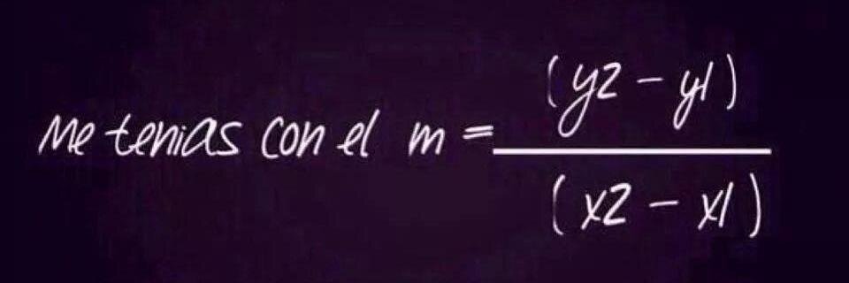 Tania T Equihua banner