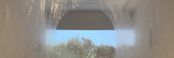AnkLap Profile Banner