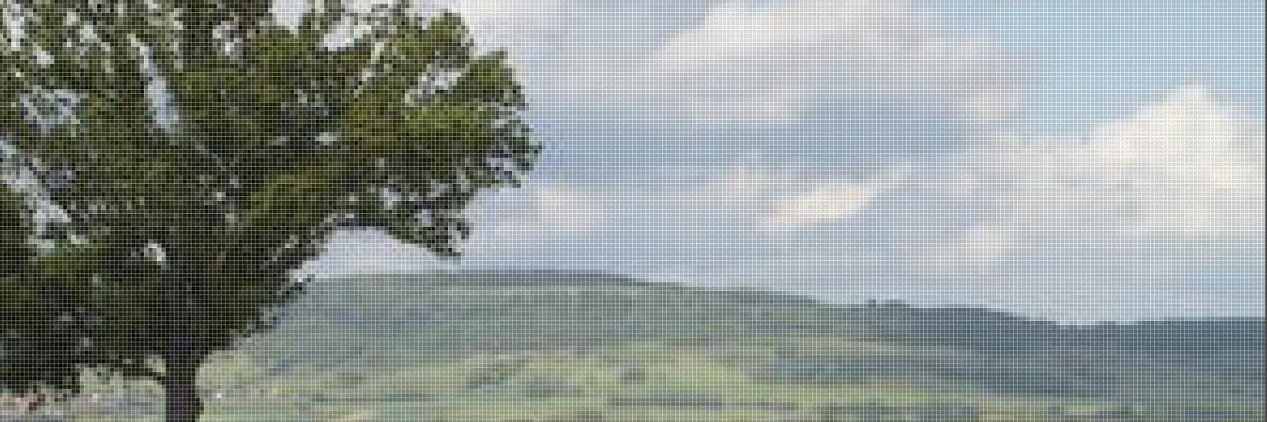 Jill Stoddard banner