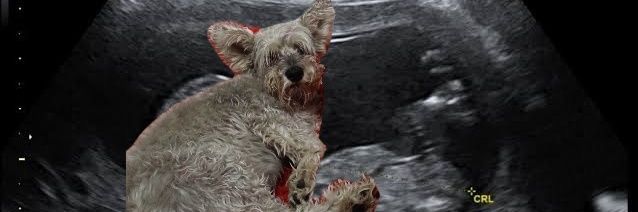 Feermzs's profile banner image