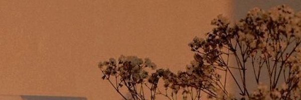 ghostsjb Profile Banner