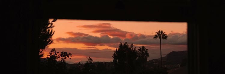 fatimalianf's profile banner image
