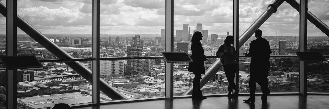 Professionals In International Trade banner