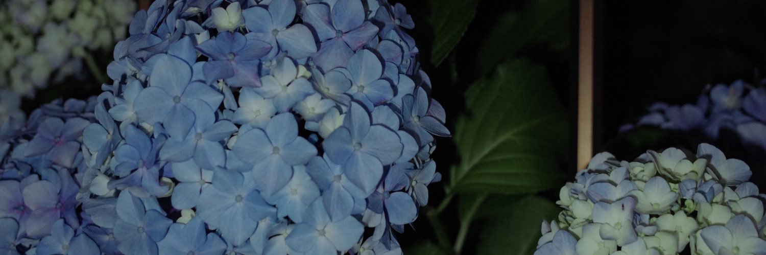 Faye_Hy's profile banner image