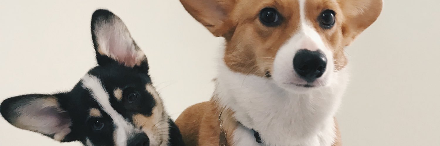 gorgjesss_'s profile banner image