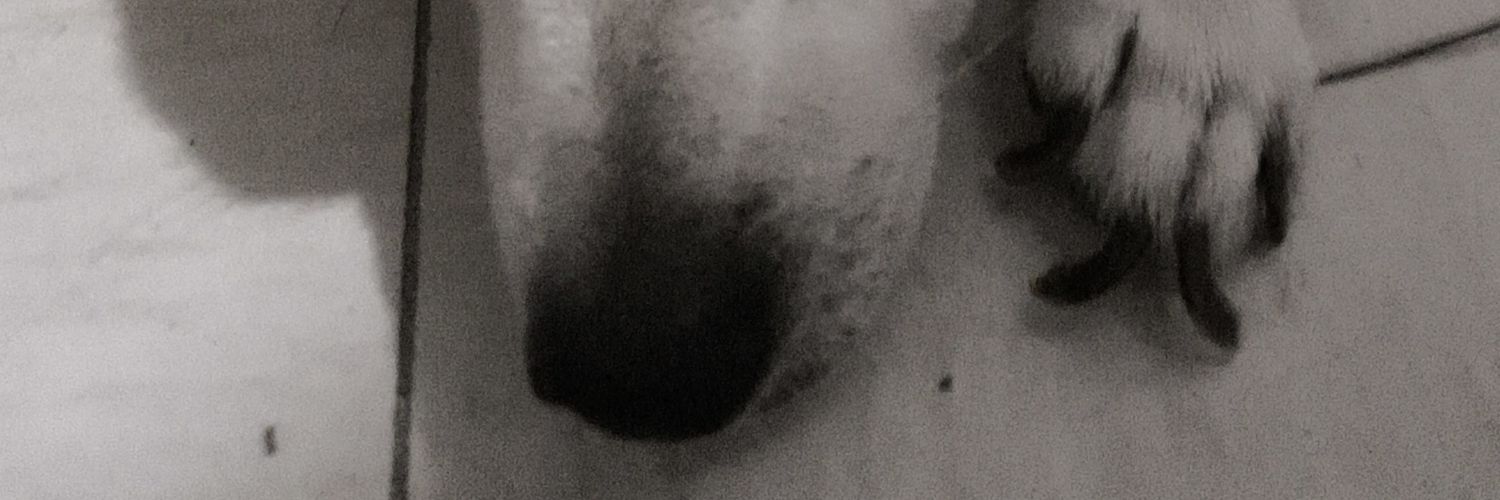 VGarcia2002's profile banner image