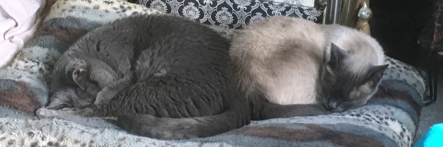 WitchyKitty77's profile banner image