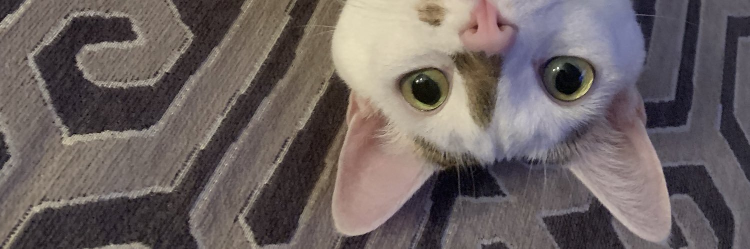 hellothereizzy's profile banner image