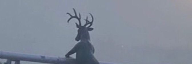 mrmrx09's profile banner image