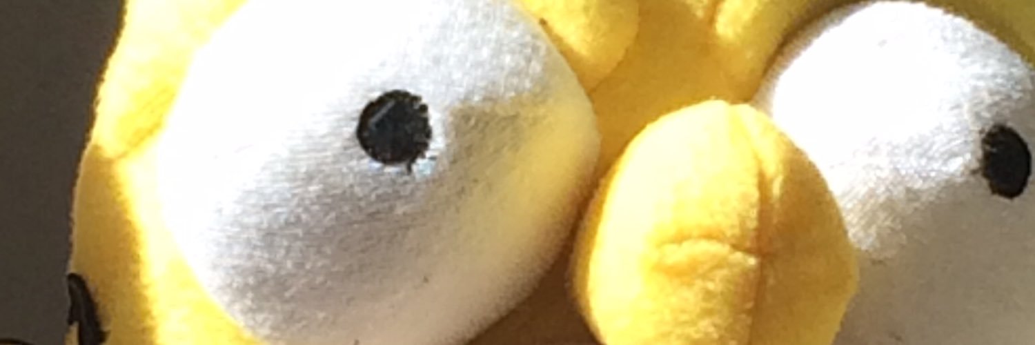 maio_nicolas's profile banner image