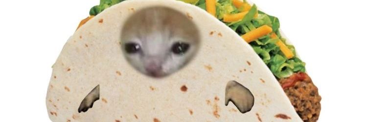 carmelier's profile banner image