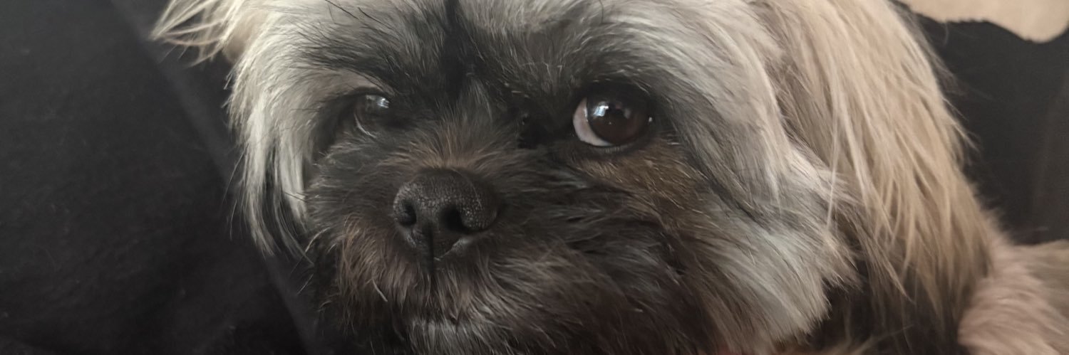 misfitsdeath's profile banner image