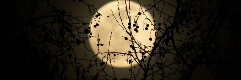 WalaaSameh13's profile banner image