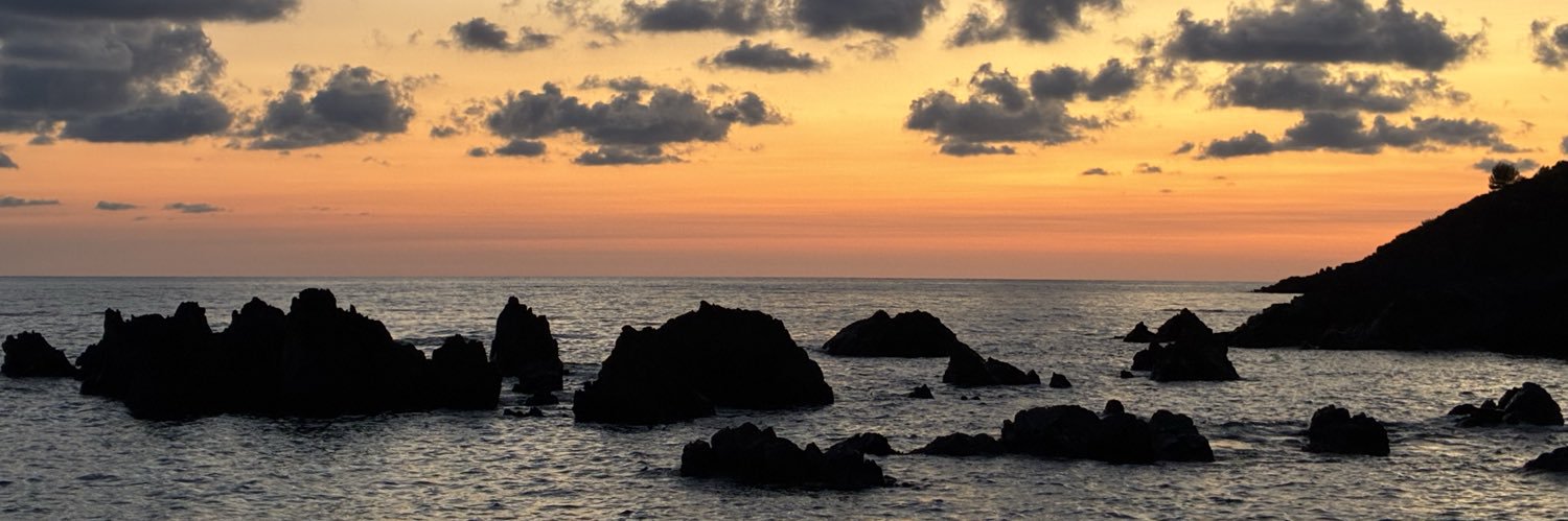 wchioccini's profile banner image