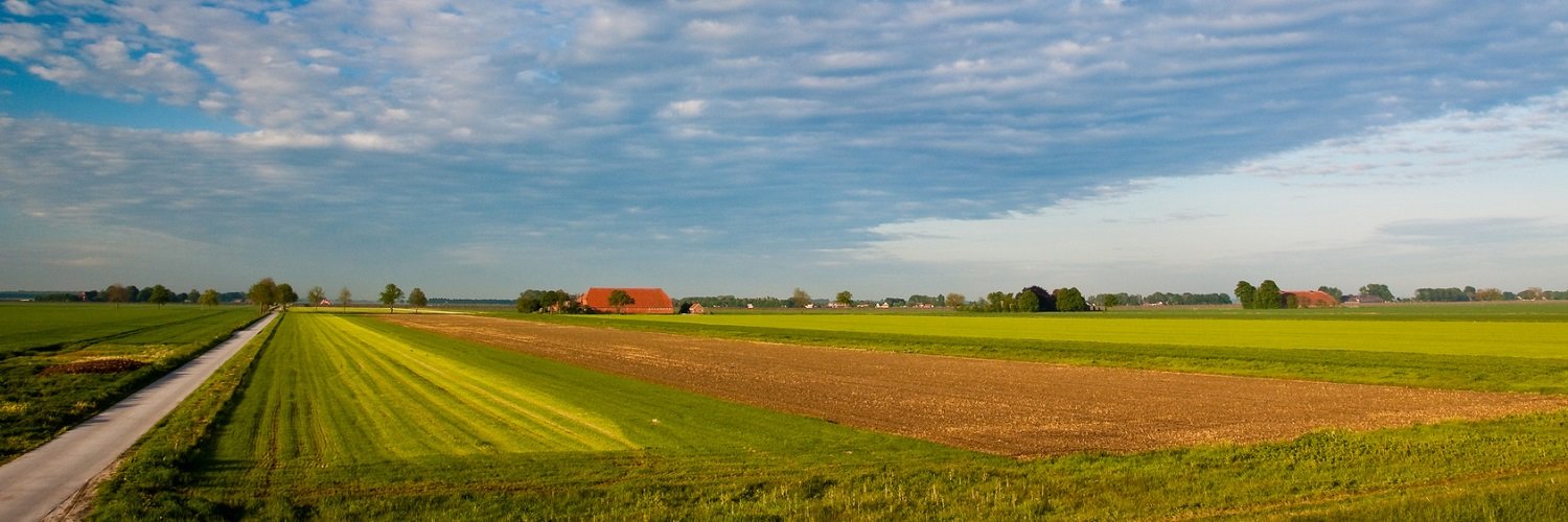Planbureau Groningen banner