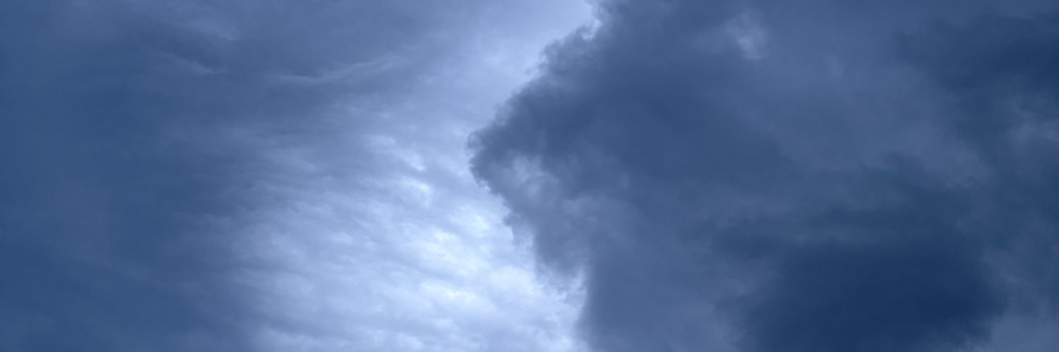 audrey ⋆⭒ banner