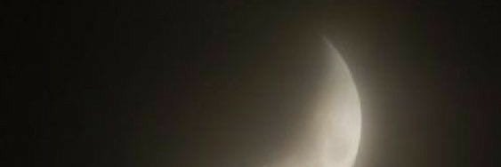 loveeforg's profile banner image
