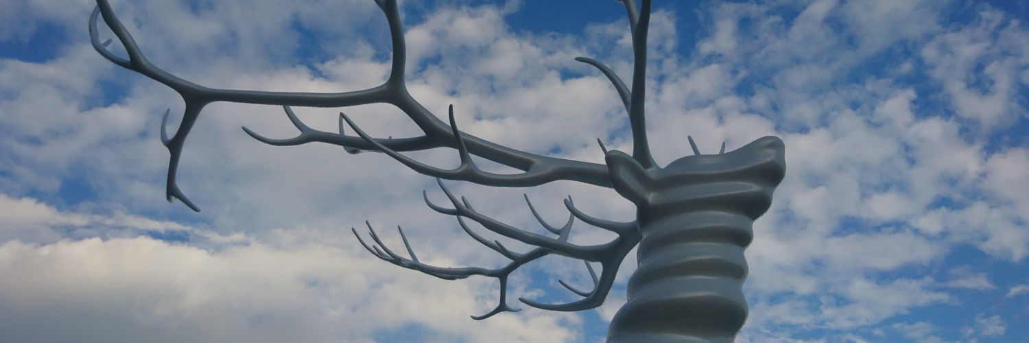 vegaJ1's profile banner image