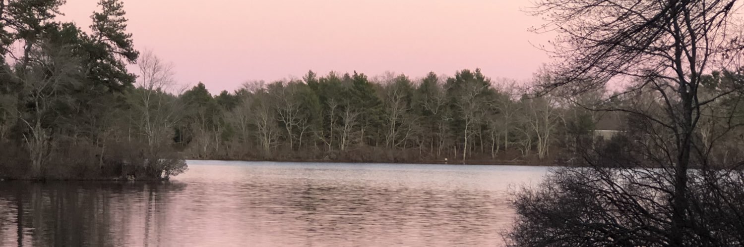 emmaohlsonn's profile banner image