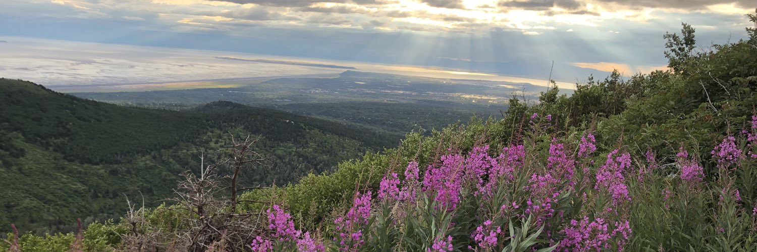 Jamarrhill's profile banner image