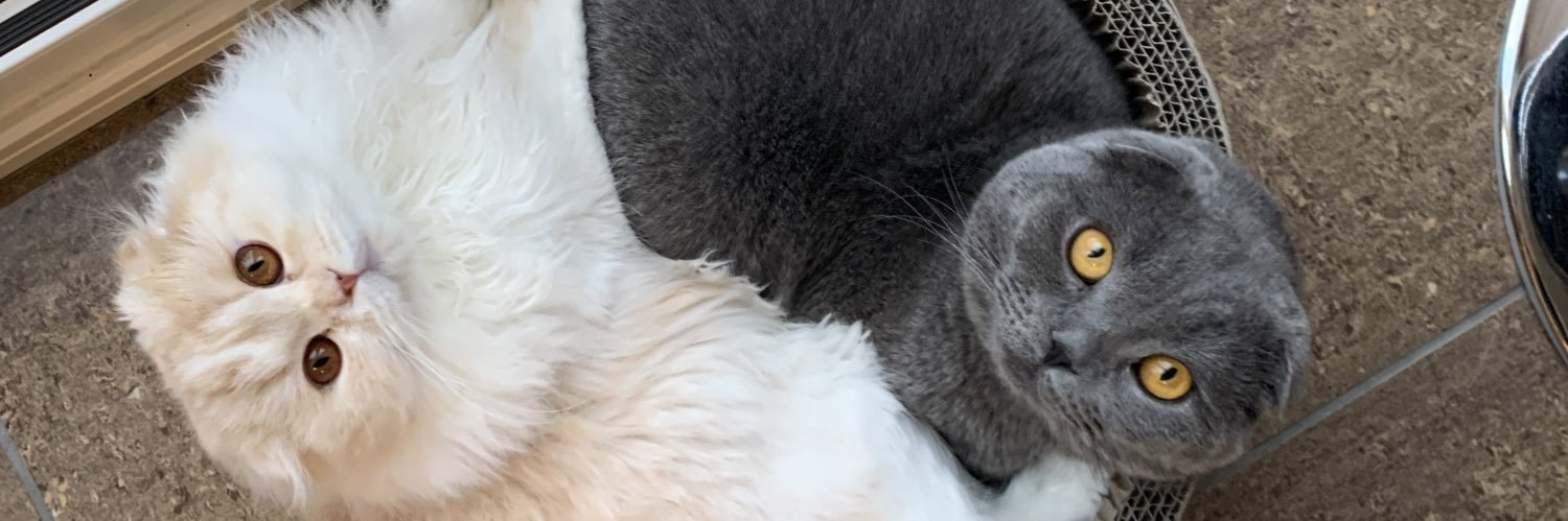 DrMichael_Smith's profile banner image