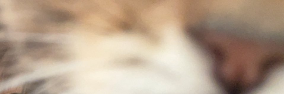 b banner