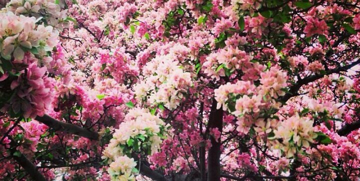 Mema_H12's profile banner image