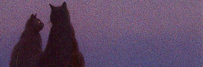 Maria_Caceress's profile banner image