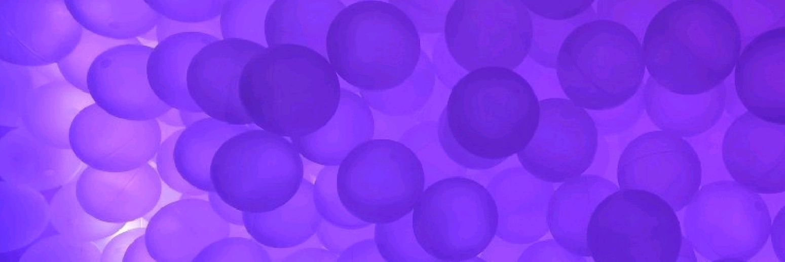 Alexandra Quevedo banner