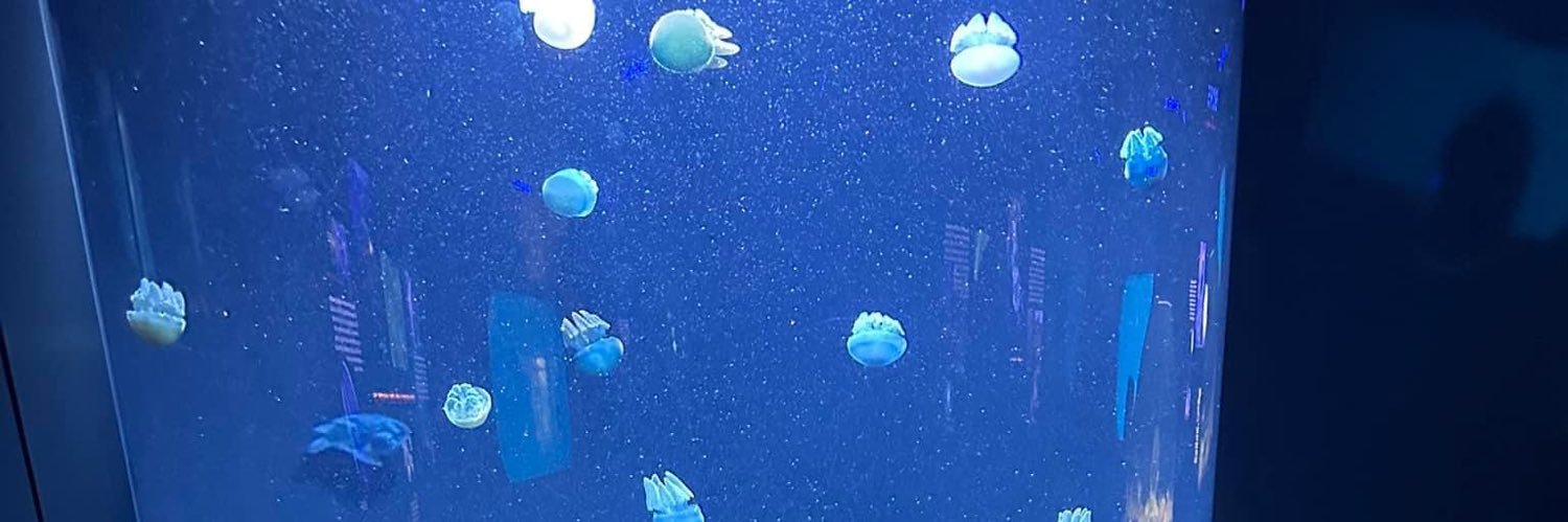 SarahJOneida's profile banner image