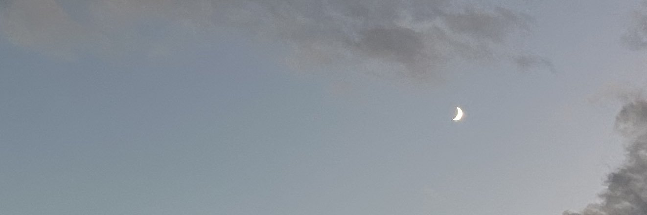 カレン banner