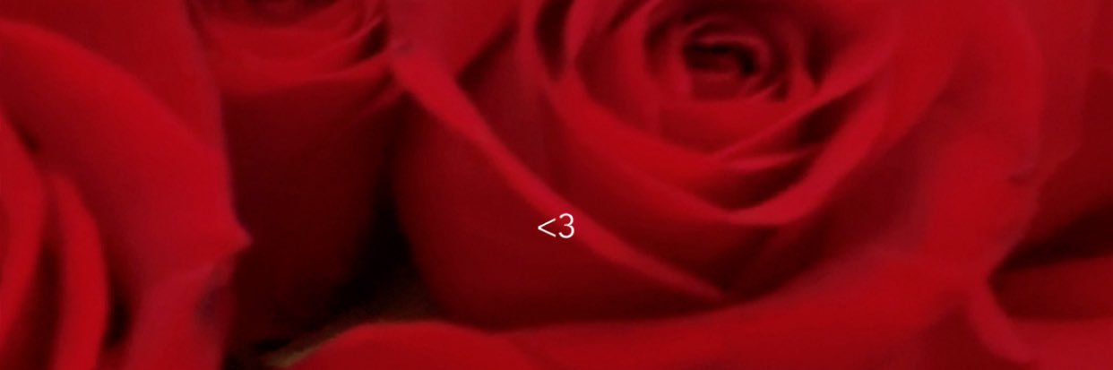 budding_rose_xx's profile banner image
