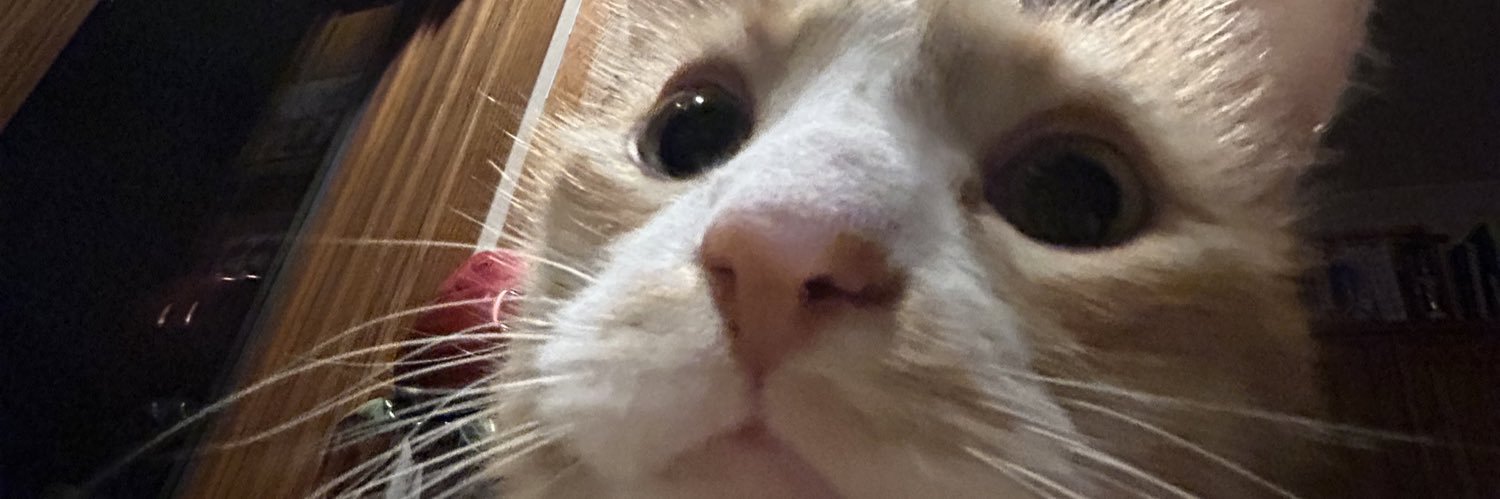 ElmoreBenji's profile banner image