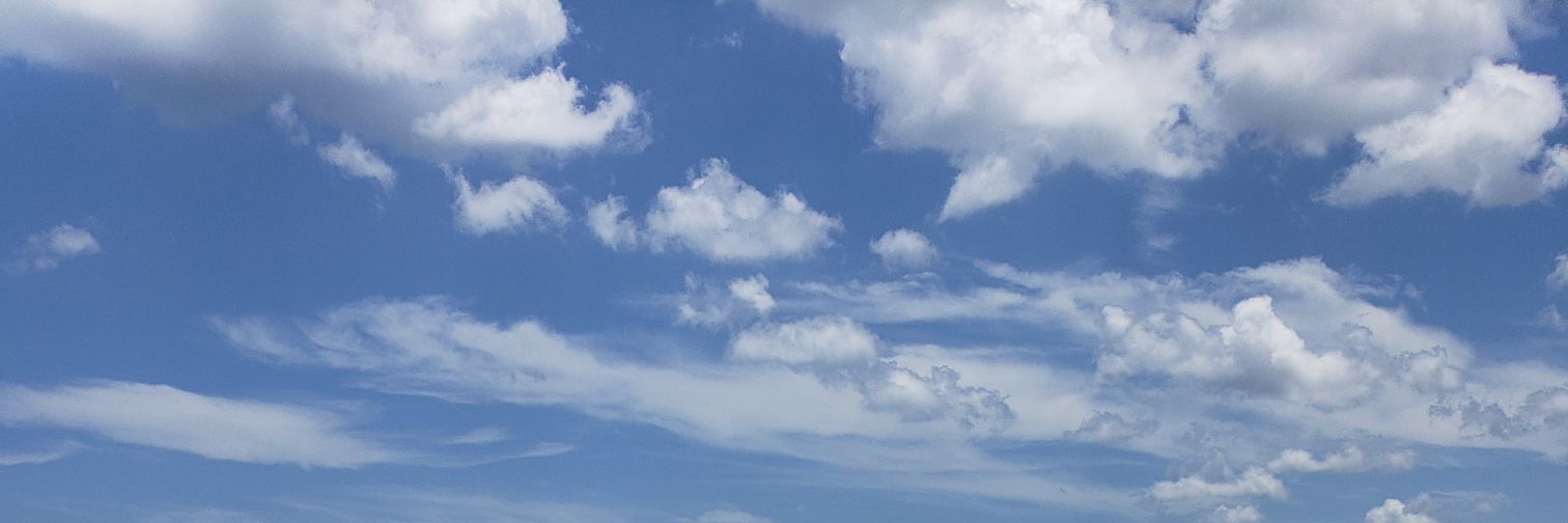 lindseytholt's profile banner image