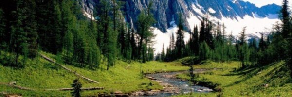 aiva_a Profile Banner