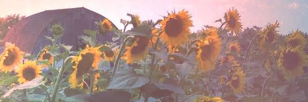 zack 🌻 banner