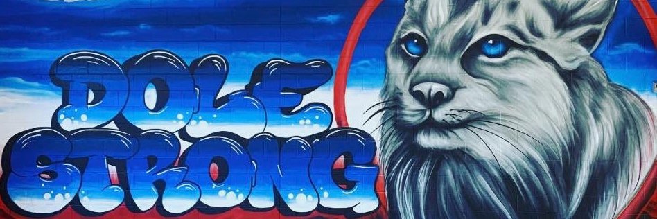 Hanford Dole Bobcats banner