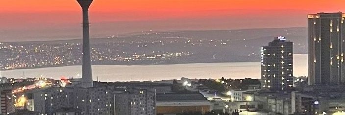 enginbagcicek banner