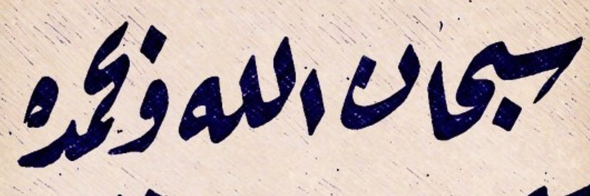 zzvsv's profile banner image
