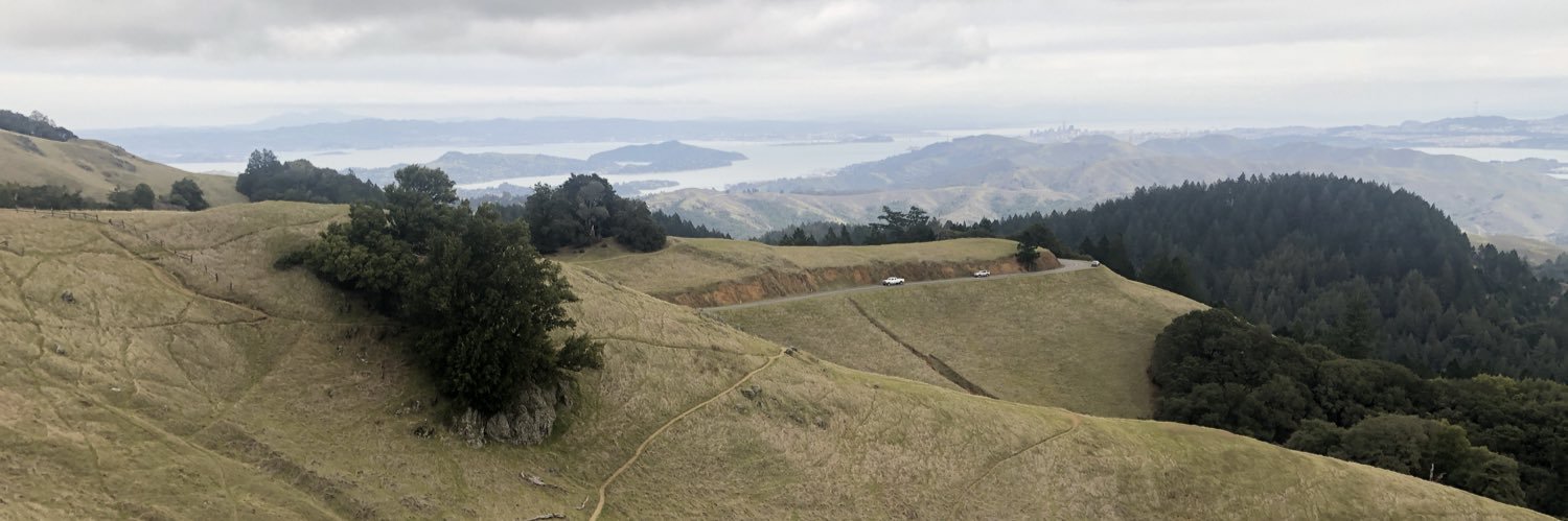 reedwildman's profile banner image
